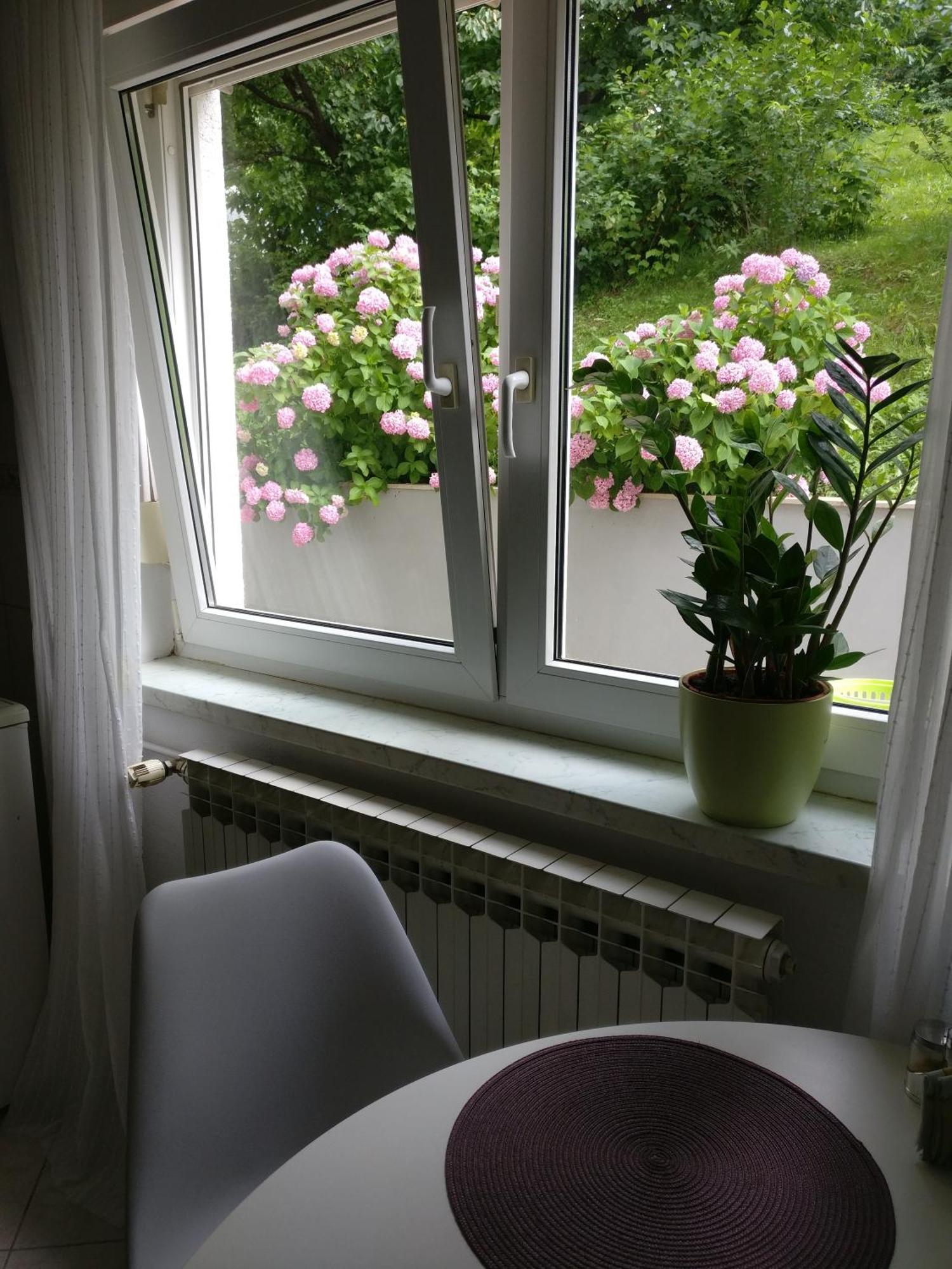 Apartman Malina Karlovac Dış mekan fotoğraf